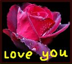 Софія Ільчишин фотография #31 (источник - https://vk.com/id71587395)