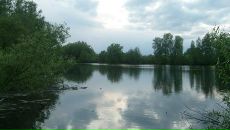 Фотография Симакиной Елены