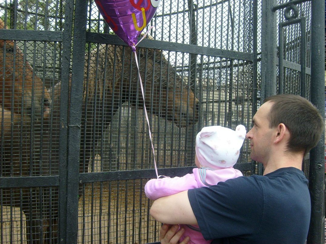 Дмитрий Поставнев фотография #29