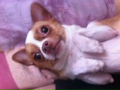 Фотография Трушникова Саши