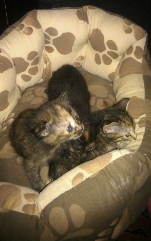 Want Beautiful фотография #2