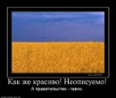 Олексій Дементьєв фотография #10 (источник - https://vk.com/id51771255)