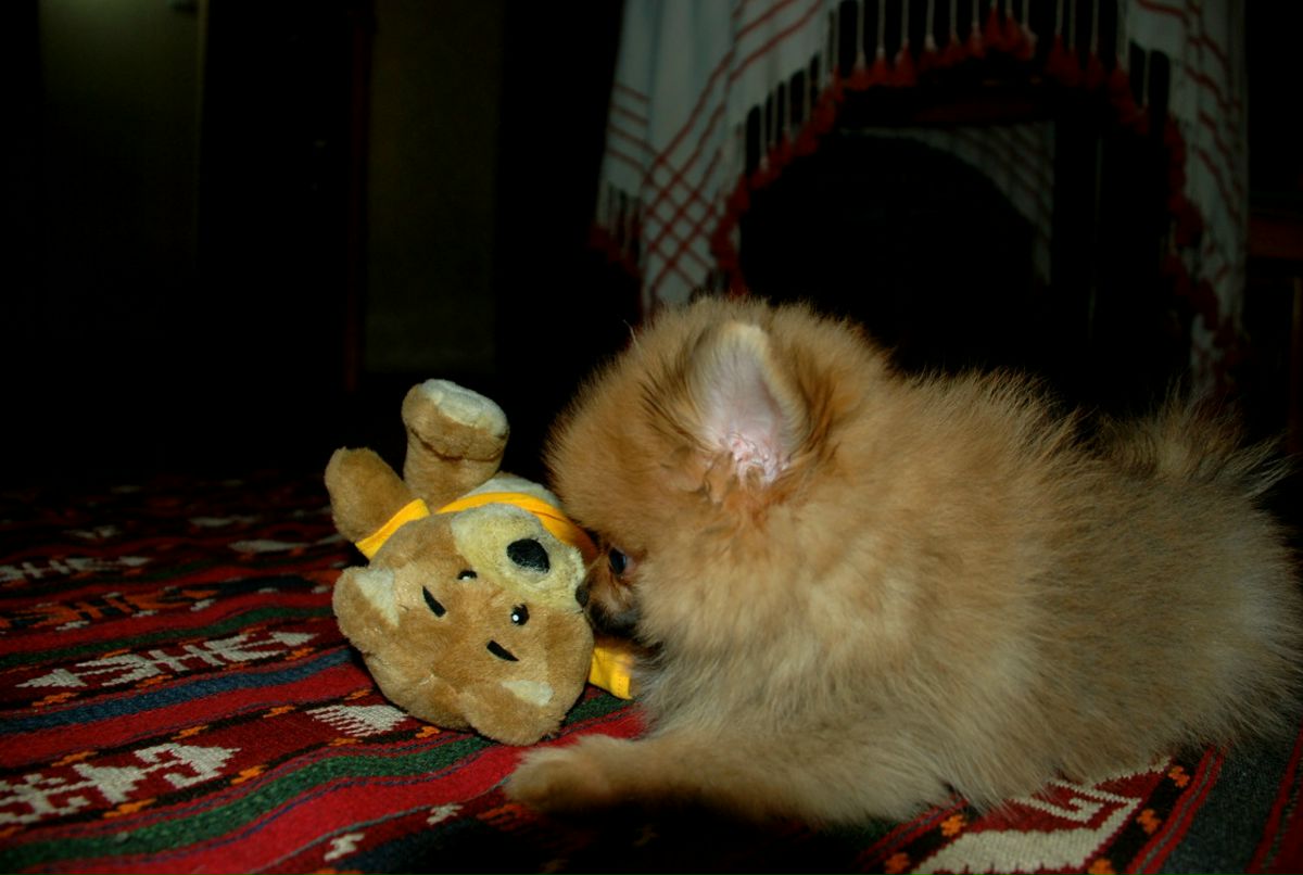 Катя Серебряная фотография #11