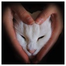 Фотография Манаковой Марии