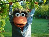 Фотография Safonoff Andru