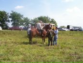 Олег Січкоріз фотография #23 (источник - https://vk.com/id72297011)