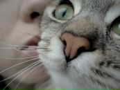 Фотография Паньшиной Александры