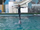 Вікторія Венчак фотография #28 (источник - https://vk.com/id14964689)