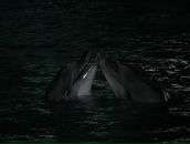 Влад Філюк фотография #11 (источник - https://vk.com/id66209351)