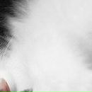 Іра Марциняк фотография #23 (источник - https://vk.com/id148611521)