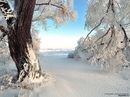 Інна Фабіянова фотография #11 (источник - https://vk.com/id136182843)