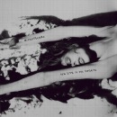 Фотография Tolchinsky Ilia