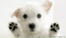 Максим Портненко фотография #32 (источник - https://vk.com/id420402)