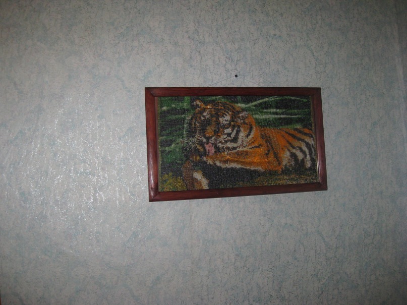 Галина Степаненко фотография #23