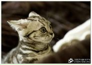 Эдуард Κрюков фотография #11 (источник - https://vk.com/id114031150)