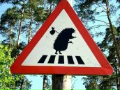 Фотография Чупахиной Елены