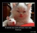 Олександр Коліс фотография #40 (источник - https://vk.com/id87375678)