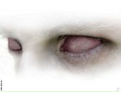 Дмитрий Балух фотография #10 (источник - https://vk.com/id95616)