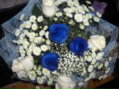 Фотография Москаевой Марии