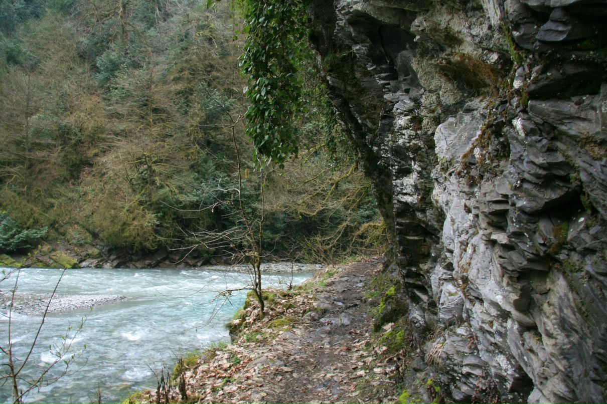 Дмитрий Полянский фотография #26