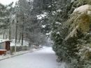 Ігор Конотопчик фотография #44 (источник - https://vk.com/id132717282)