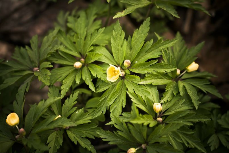 Николай Лычко фотография #45