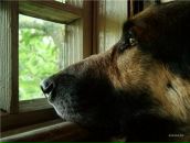 Вадім Жук фотография #20 (источник - https://vk.com/id50059372)