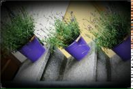 Наталія Дембовська фотография #35 (источник - https://vk.com/id23802511)