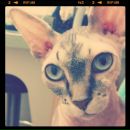 Игорь Хохлов фотография #48 (источник - https://vk.com/id512608)