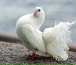 Фотография Мазитовой Наталии