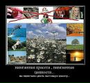 Надія Шпиль фотография #44 (источник - https://vk.com/id71877822)