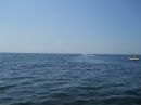 Сергій Моспаненко фотография #30 (источник - https://vk.com/id124991972)