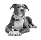 Влад Білошицький фотография #27 (источник - https://vk.com/id95330925)