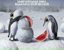 Славік Фурманевич фотография #6 (источник - https://vk.com/id168870024)