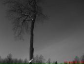 Фотография Слэмова Игоря