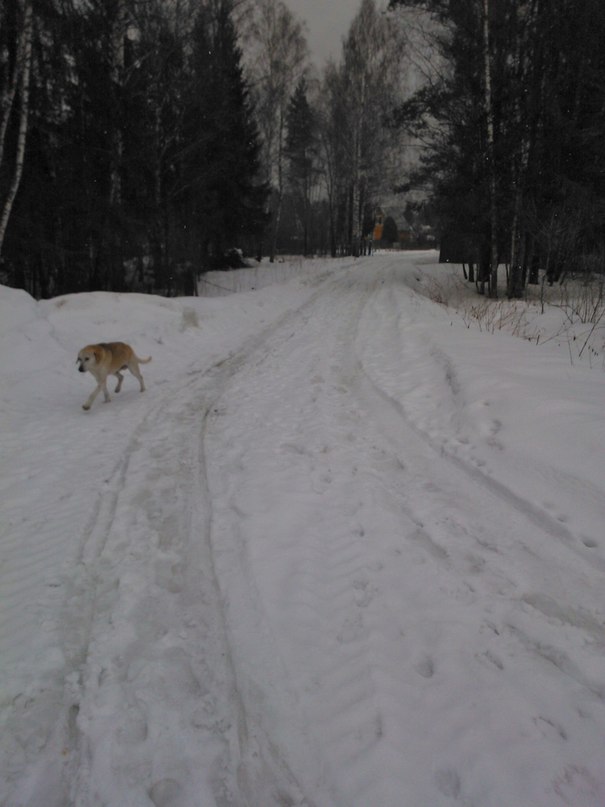 Дмитрий Костерин фотография #31