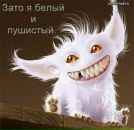 Фотография Шахнюка Николая