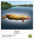 Степан Вівчар фотография #40 (источник - https://vk.com/id147025983)