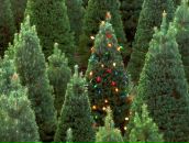 Фотография Мазун Натальи