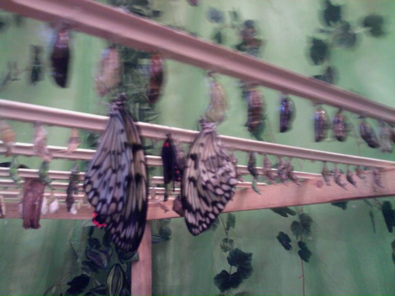 Катя Клименко фотография #32