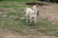 Иван Любченко фотография #27 (источник - https://vk.com/id682883)