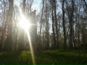 Фотография Зайцевой Марии