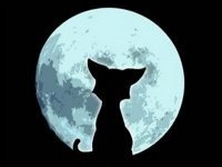 №5, Мария Яксон, Великий Новгород, Россия №5, Мария Яксон, Великий Новгород, Россия