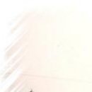 Тернопільський Коледж фотография #13 (источник - https://vk.com/id154590743)