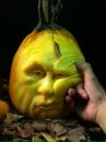 Фотография Васильевой Светланы