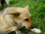 Фотография Топоровской Елены