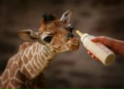 Фотография Узянова Ярослава