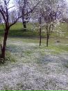 Олічка Лета фотография #32 (источник - https://vk.com/id153920727)
