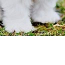 Ірина Мисюк фотография #42 (источник - https://vk.com/id105920111)