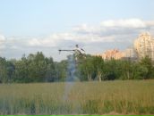 Дмитрий Коптев фотография #39 (источник - https://vk.com/id433493)